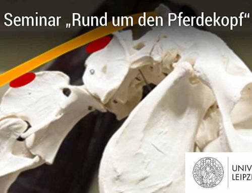 Leipziger Anatomie-Symposien 2026